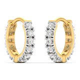 Lumière Hoops