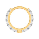 Lumière Hoops